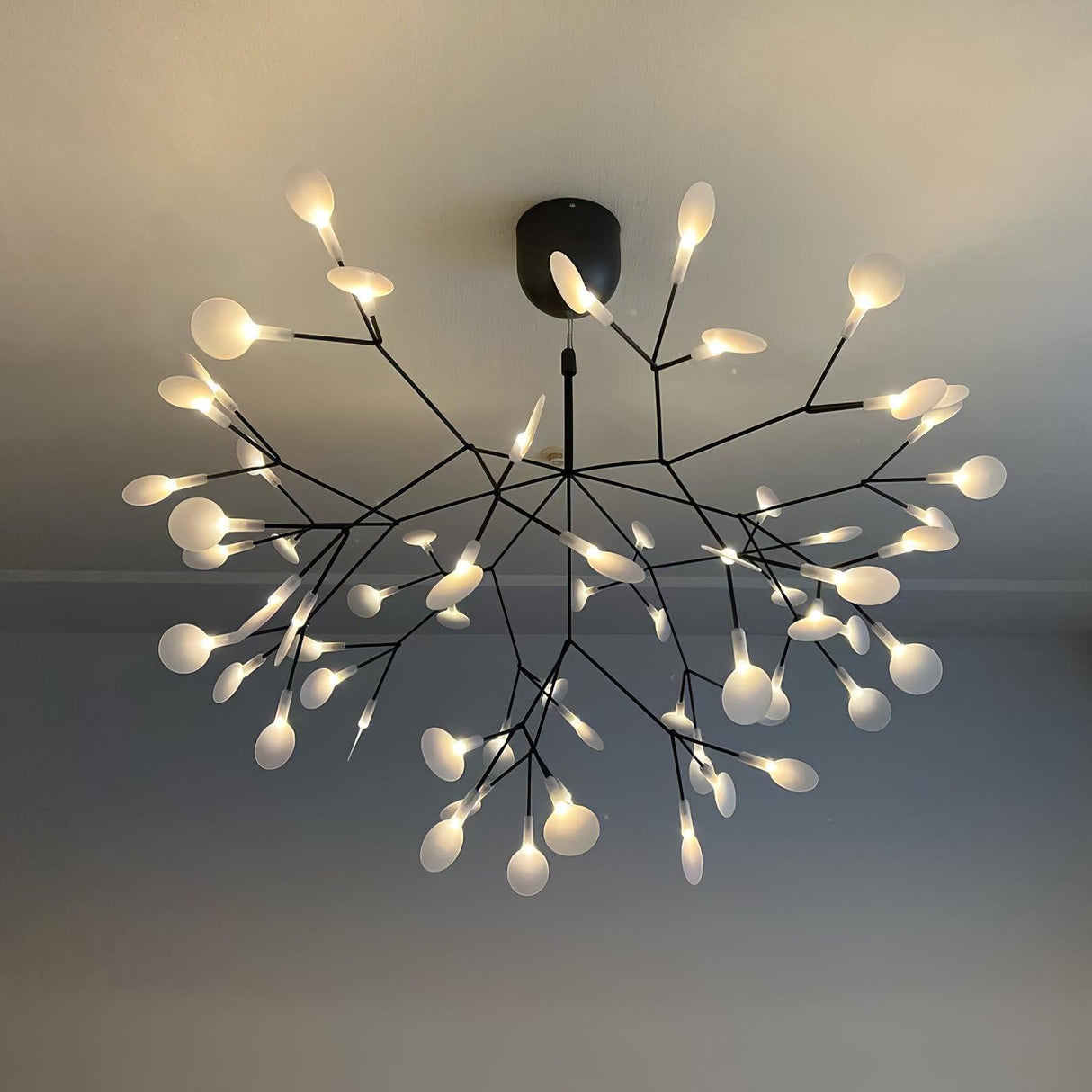 Black Firefly LED Chandelier