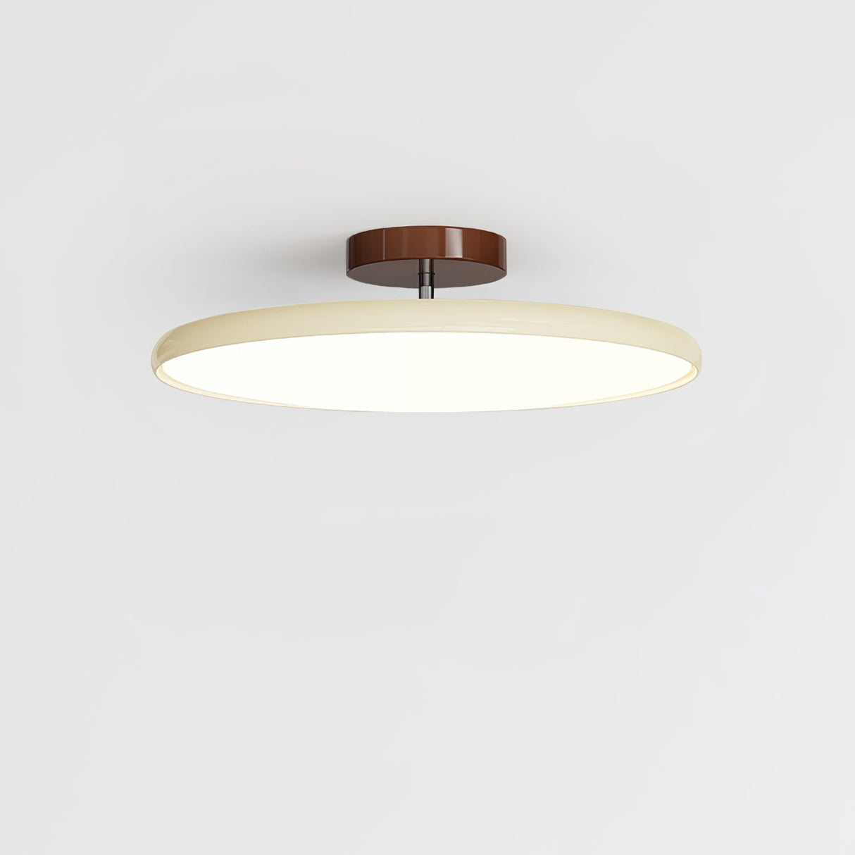 Drift Adjustable Ceiling Lamp