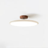 Drift Adjustable Ceiling Lamp