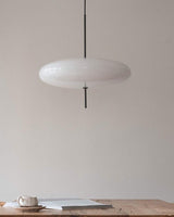 Model 2065 Pendant Lamp