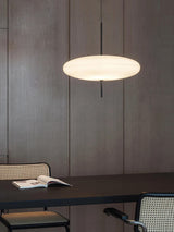 Model 2065 Pendant Lamp