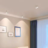 Modupoint Ceiling Light